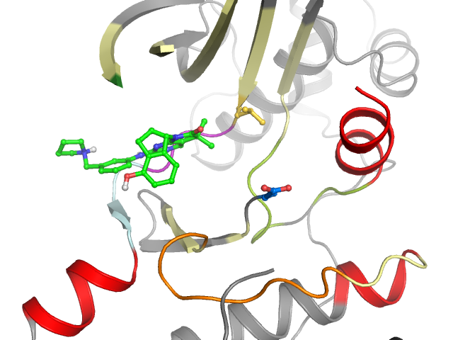 The orthosteric binding pocket