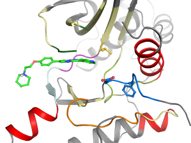 The orthosteric binding pocket