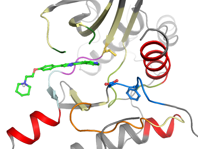 The orthosteric binding pocket