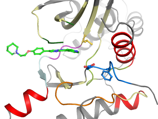 The orthosteric binding pocket