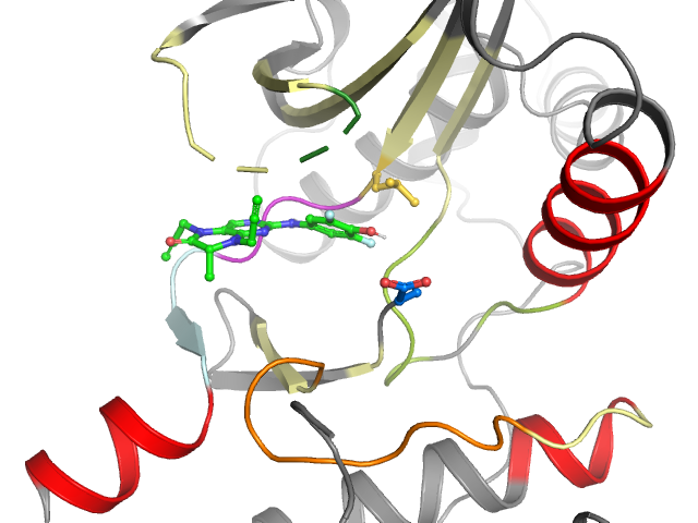The orthosteric binding pocket