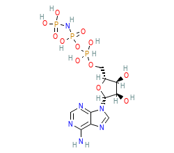 2D structure of the orthosteric ligand
