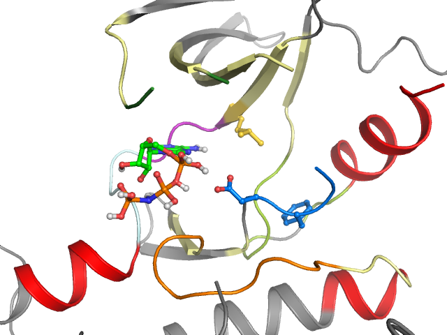 The orthosteric binding pocket