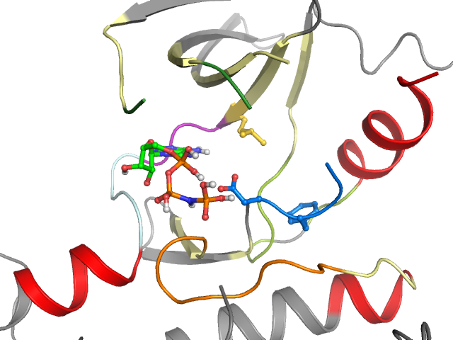 The orthosteric binding pocket