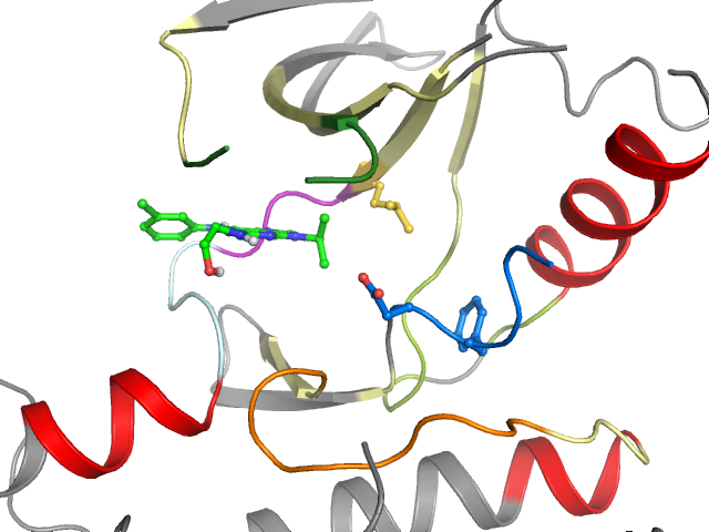 The orthosteric binding pocket