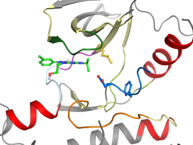 The orthosteric binding pocket