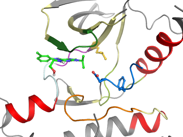The orthosteric binding pocket