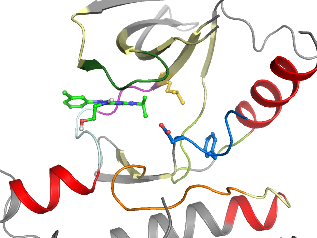 The orthosteric binding pocket