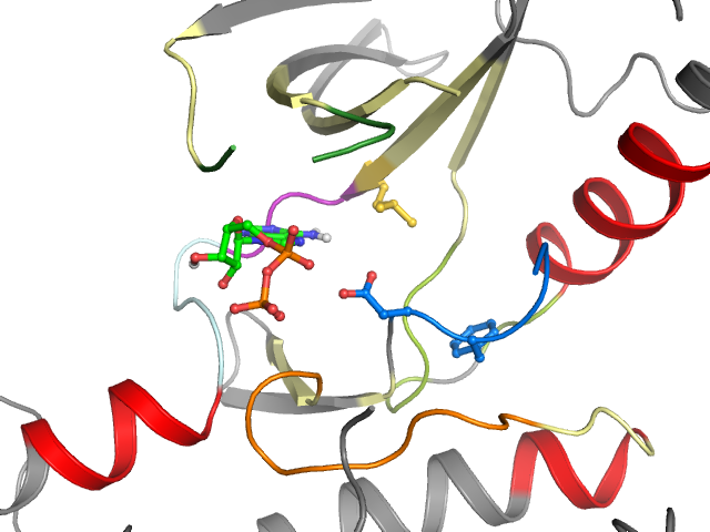 The orthosteric binding pocket