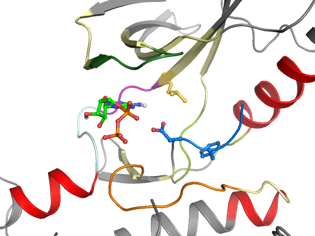 The orthosteric binding pocket