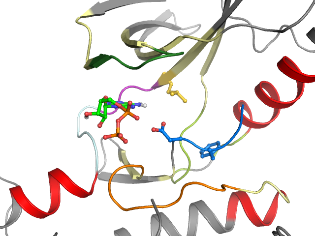 The orthosteric binding pocket