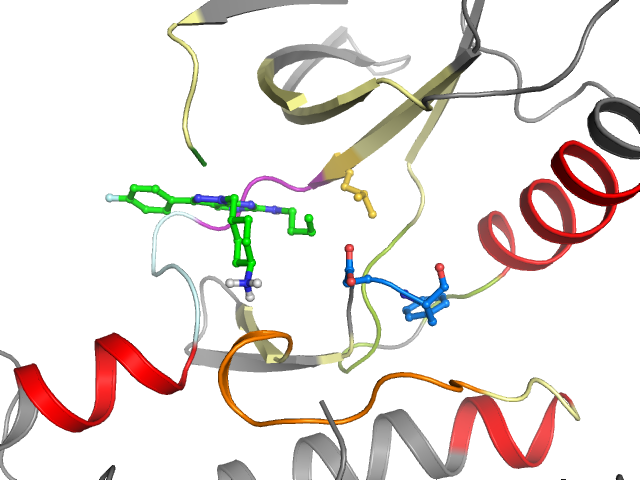 The orthosteric binding pocket