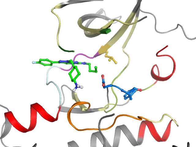 The orthosteric binding pocket