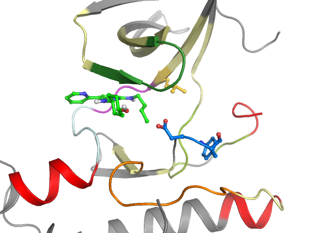 The orthosteric binding pocket