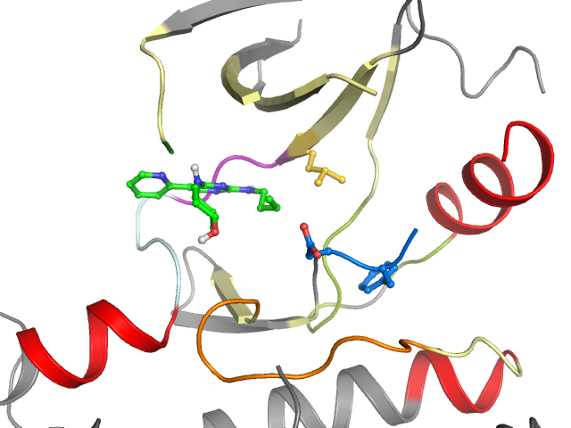 The orthosteric binding pocket