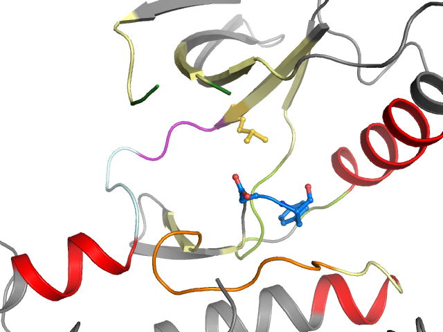 The orthosteric binding pocket