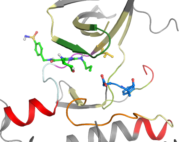 The orthosteric binding pocket