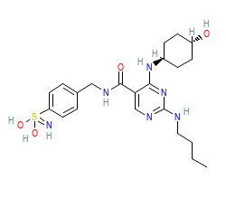 2D structure of the orthosteric ligand