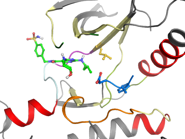 The orthosteric binding pocket