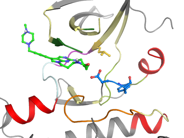 The orthosteric binding pocket