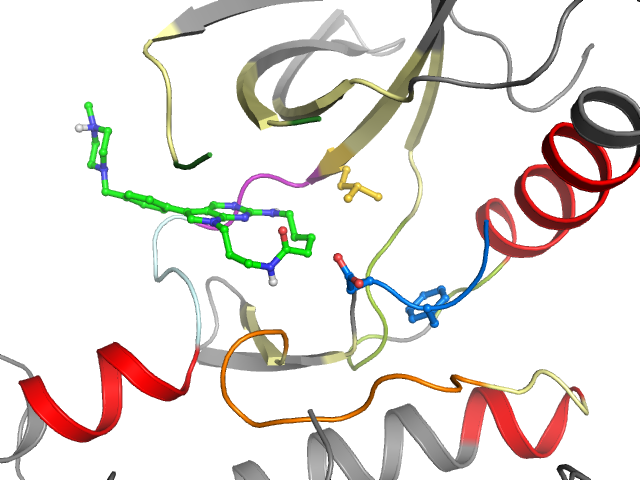The orthosteric binding pocket