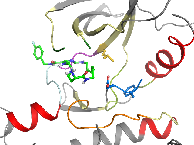 The orthosteric binding pocket