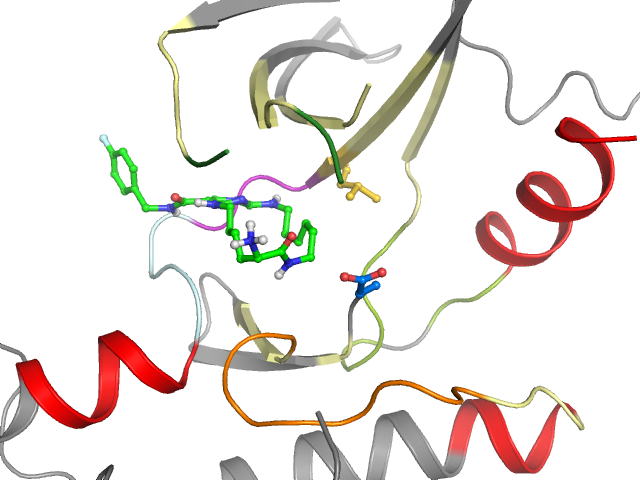 The orthosteric binding pocket