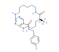 2D structure of the orthosteric ligand