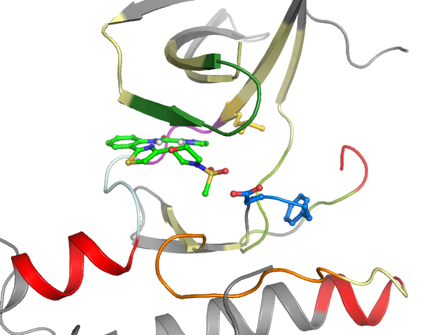 The orthosteric binding pocket