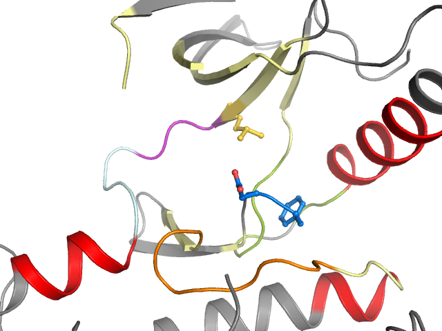The orthosteric binding pocket