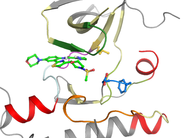 The orthosteric binding pocket