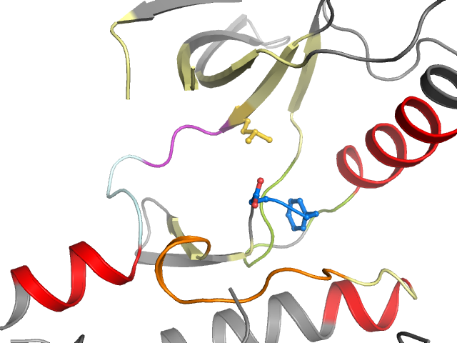 The orthosteric binding pocket