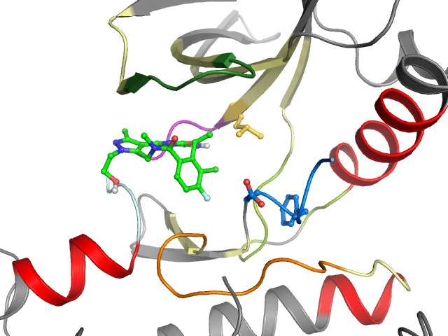 The orthosteric binding pocket