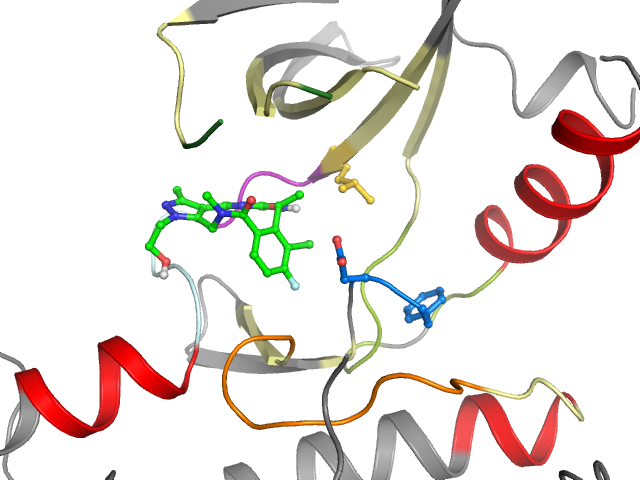 The orthosteric binding pocket