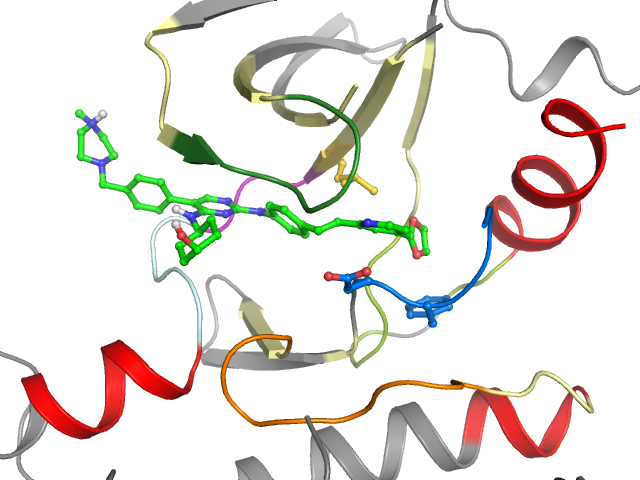 The orthosteric binding pocket