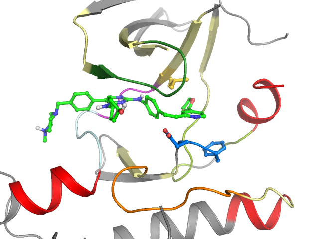The orthosteric binding pocket