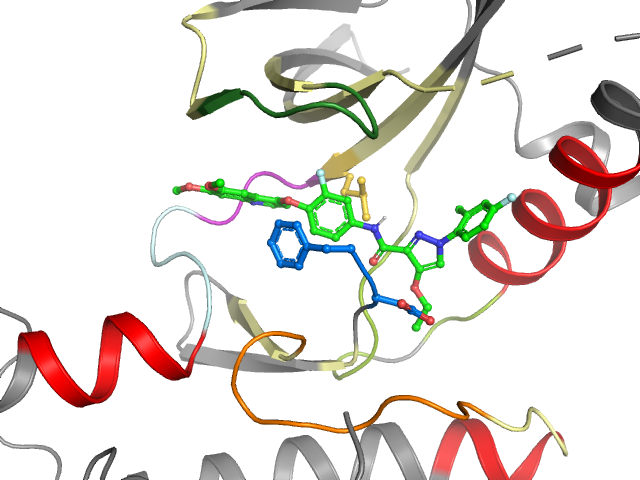 The orthosteric binding pocket