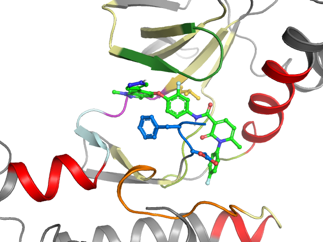 The orthosteric binding pocket