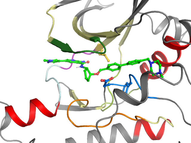 The orthosteric binding pocket