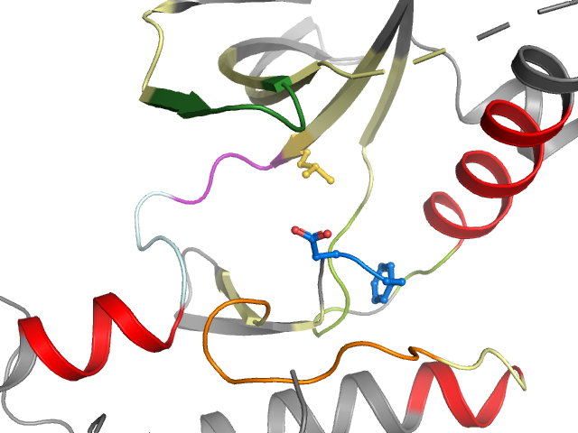 The orthosteric binding pocket