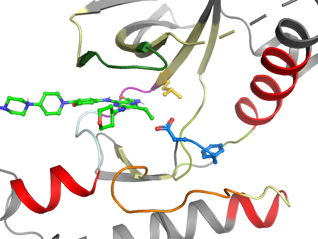 The orthosteric binding pocket