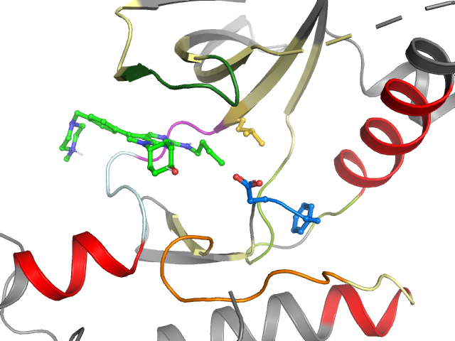 The orthosteric binding pocket