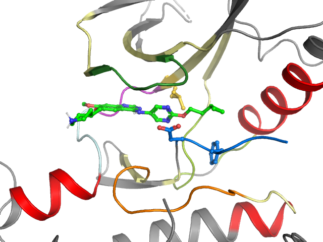 The orthosteric binding pocket