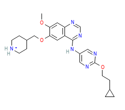 2D structure of the orthosteric ligand