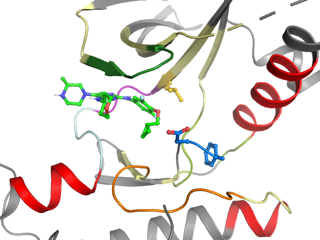 The orthosteric binding pocket