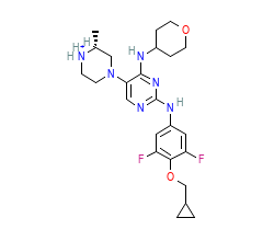 2D structure of the orthosteric ligand