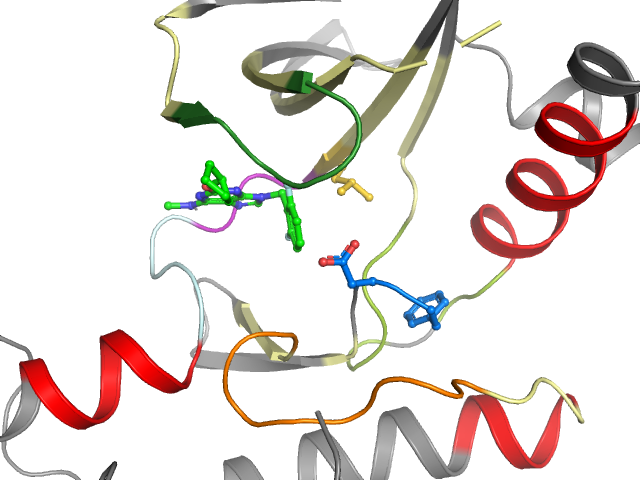 The orthosteric binding pocket