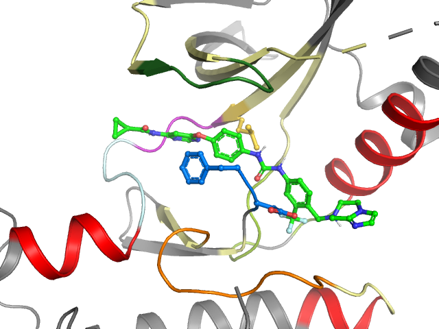 The orthosteric binding pocket