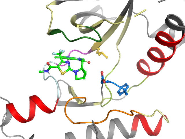 The orthosteric binding pocket