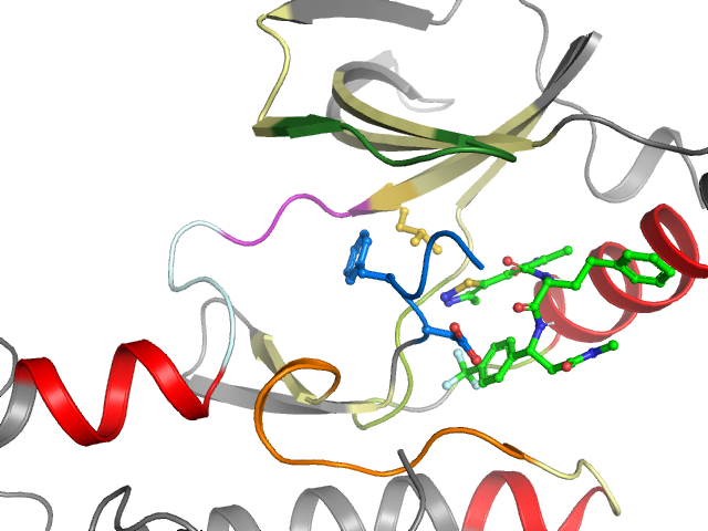 The orthosteric binding pocket